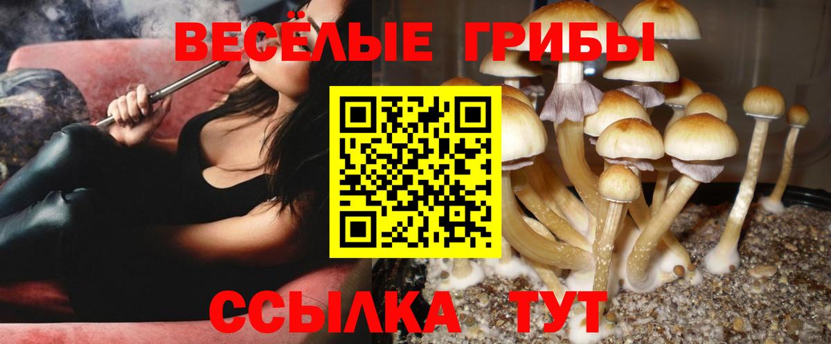 Галлюциногенные грибы мухоморы  Псилоцибиновые грибы Cubensis  Вход с VPN  Королёв 