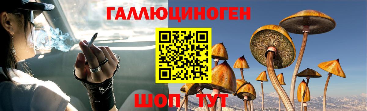 Галлюциногенные грибы MAGIC MUSHROOMS Королёв